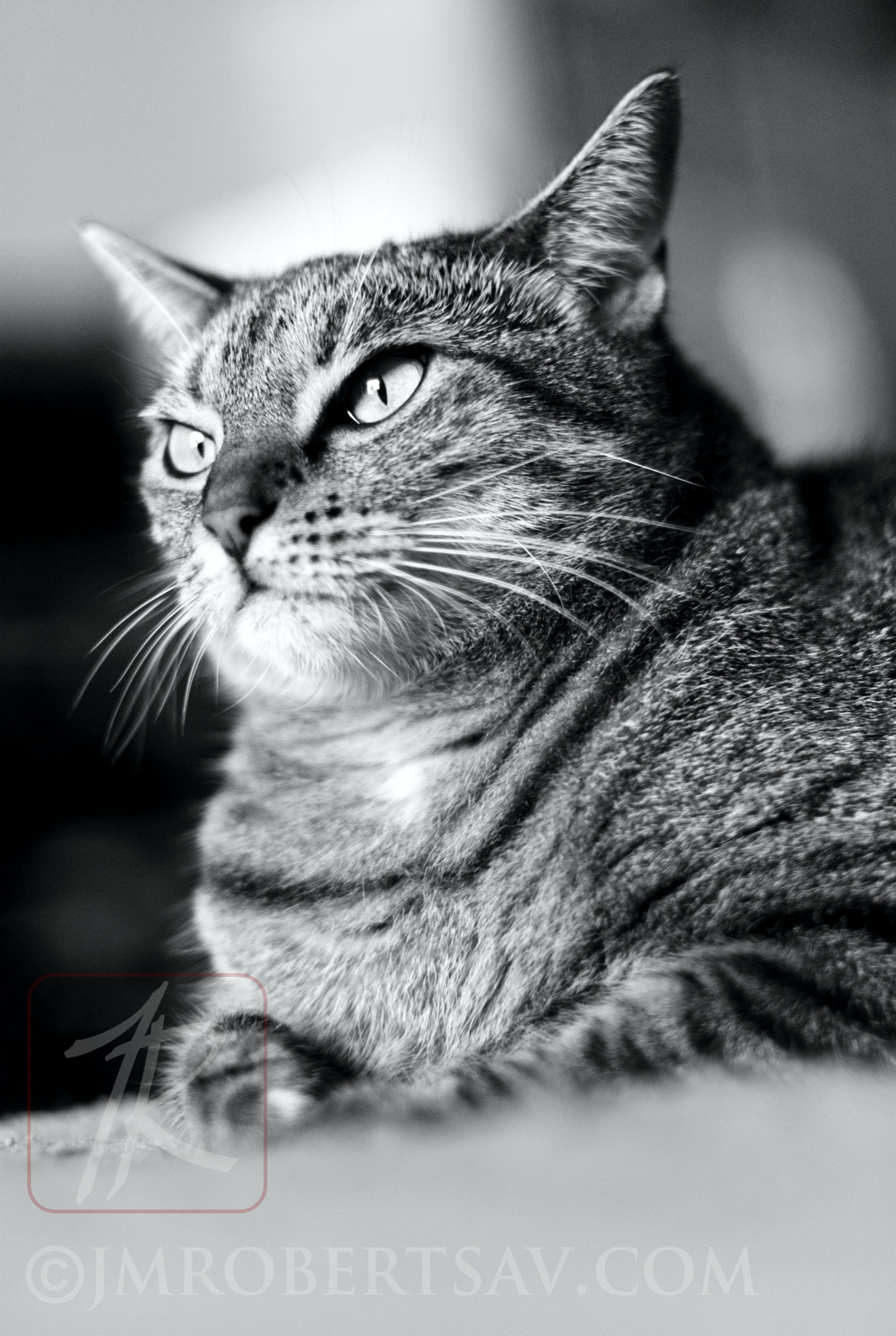 _DSC0049